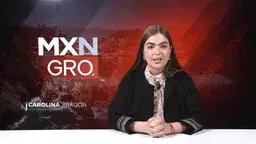 Guerrero, epicentro del caos político en México. Más de 200 casos de violencia desde 2018.