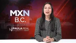 "¡Atención conductores! ¿Sabías que puedes reclamar por daños en tu auto debido a baches en las calles? 🚗💥"
