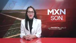 "Percepción de Inseguridad Disminuye en Hermosillo y Obregón, Aumenta en Nogales"