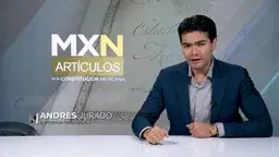  Justicia Igualitaria en México, El Artículo 13
