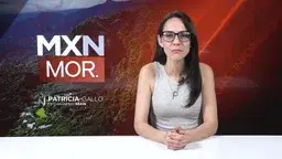 Cuernavaca: Un Ejemplo de Restauración Arbórea y Compromiso Ambiental.